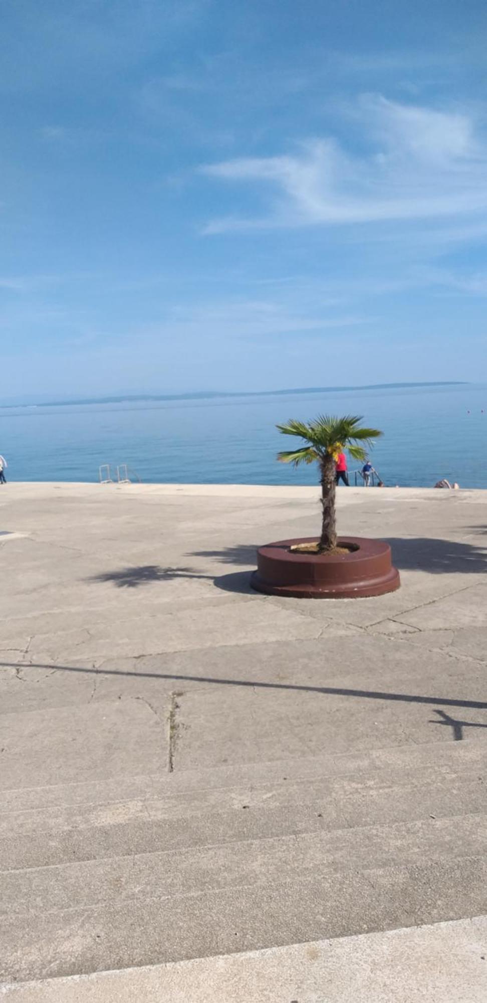 Apartmán Blaženka Viskovo Exteriér fotografie